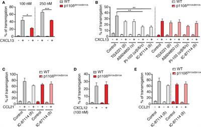 DOCK2 and phosphoinositide-3 kinase δ mediate two complementary signaling pathways for CXCR5-dependent B cell migration